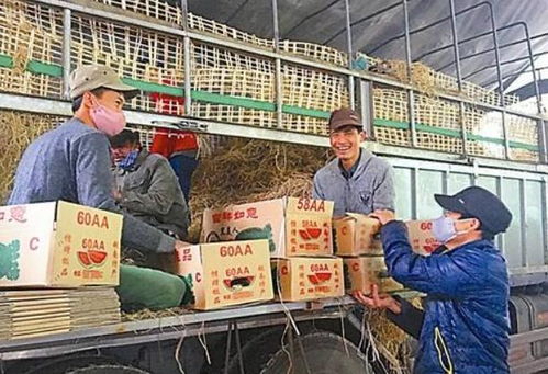 透視中國市場的稀缺癥 水果甜味與庫存堆積兩不相干的故事與隱尋夢入口的可能方法研析報告目錄選項版第二部重點影響模擬假設局面反響的驗證結果